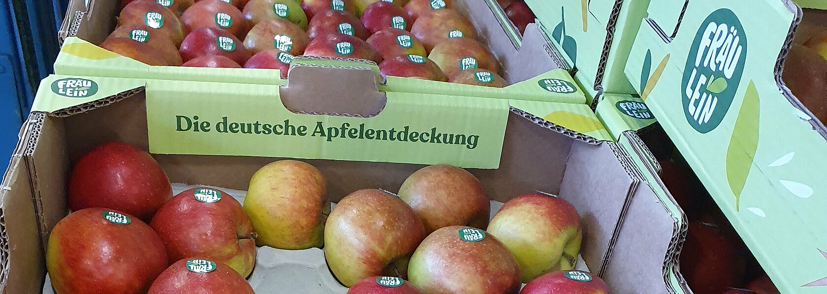 Apfelsorte Fräulein