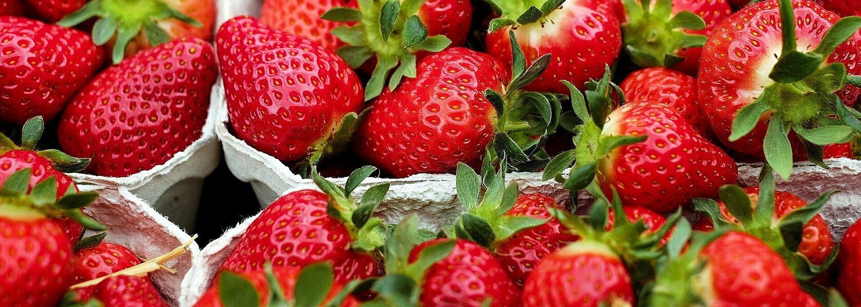 Schalen mit Erdbeeren