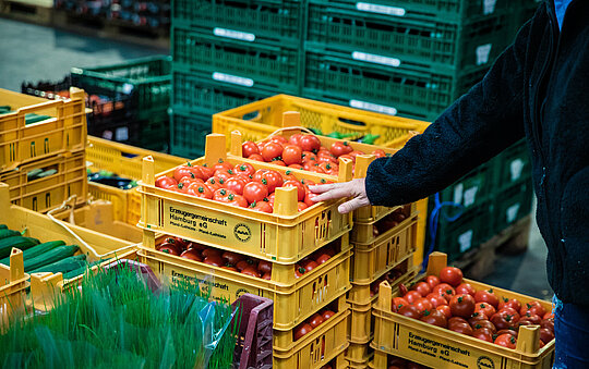 Ein paar Kisten Tomaten von der Erzeugergemeinschaft